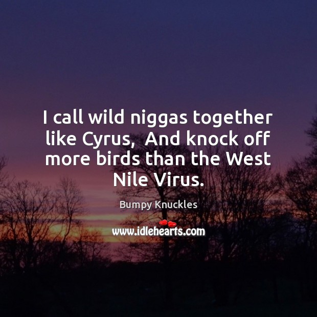 I call wild niggas together like Cyrus,  And knock off more birds Bumpy Knuckles Picture Quote