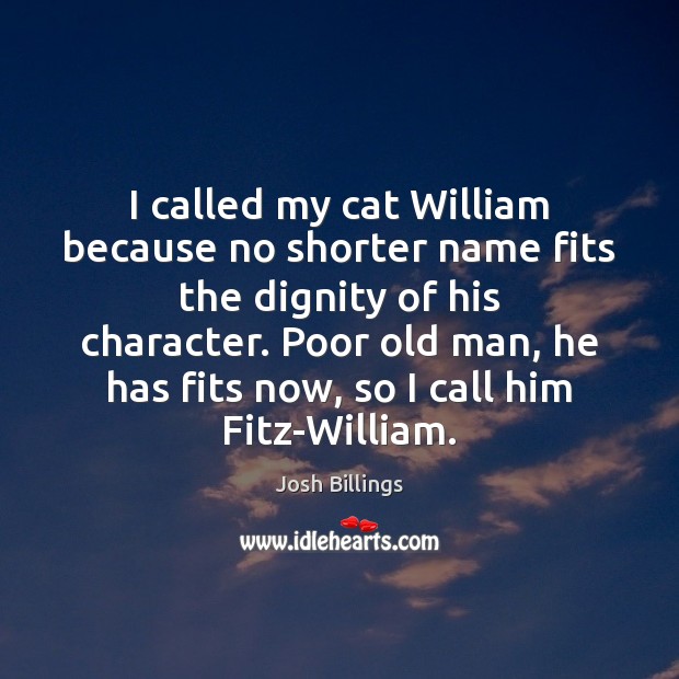 I called my cat William because no shorter name fits the dignity Image