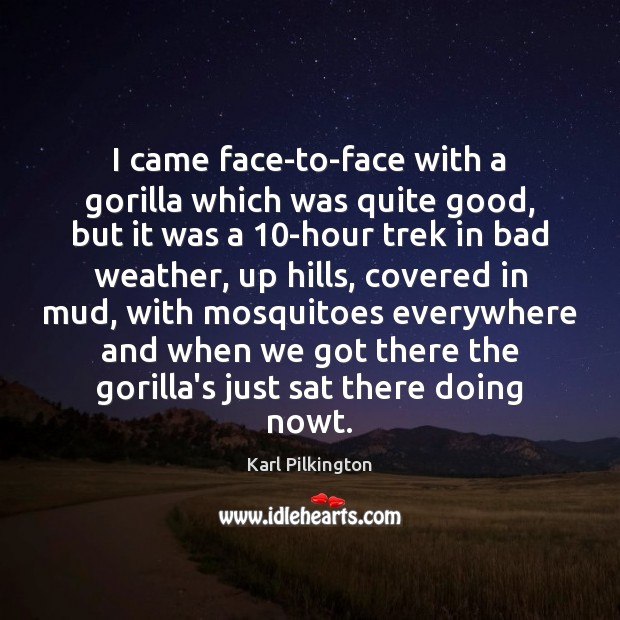 I came face-to-face with a gorilla which was quite good, but it Karl Pilkington Picture Quote