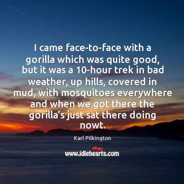 I came face-to-face with a gorilla which was quite good, but it was a 10-hour trek in bad weather Karl Pilkington Picture Quote