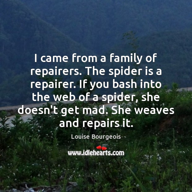 I came from a family of repairers. The spider is a repairer. Image
