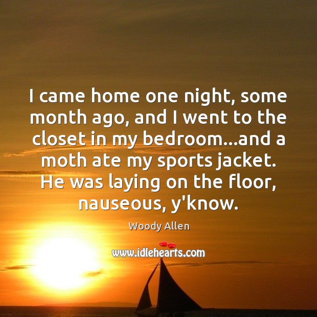 I came home one night, some month ago, and I went to Woody Allen Picture Quote