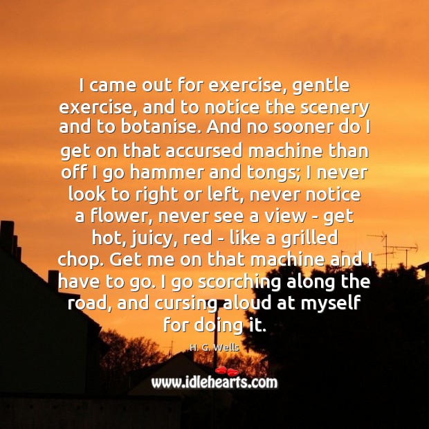 I came out for exercise, gentle exercise, and to notice the scenery H. G. Wells Picture Quote