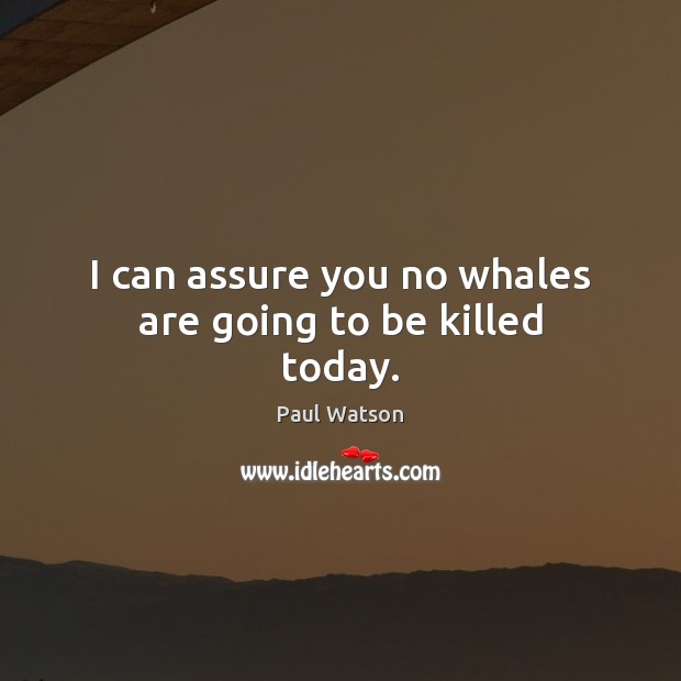 I can assure you no whales are going to be killed today. Paul Watson Picture Quote