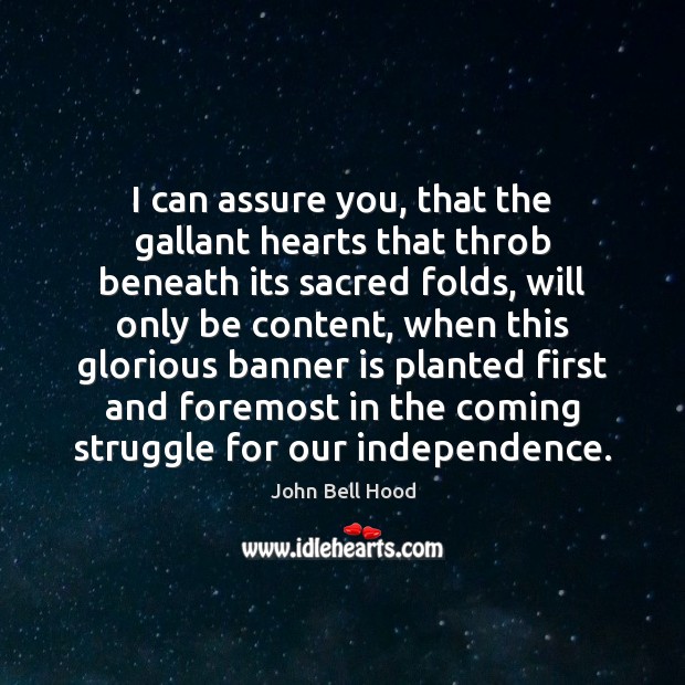 I can assure you, that the gallant hearts that throb beneath its Image