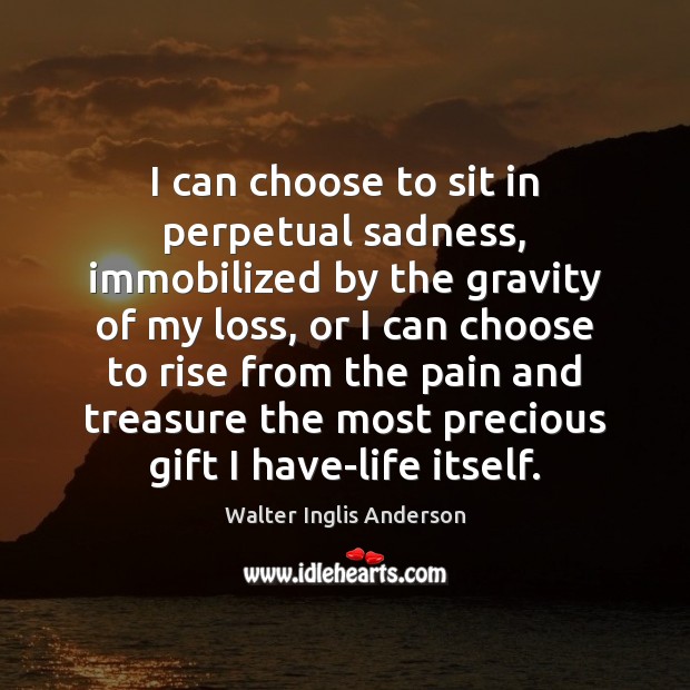 I can choose to sit in perpetual sadness, immobilized by the gravity Walter Inglis Anderson Picture Quote