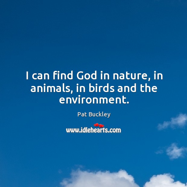 I can find God in nature, in animals, in birds and the environment. -  IdleHearts