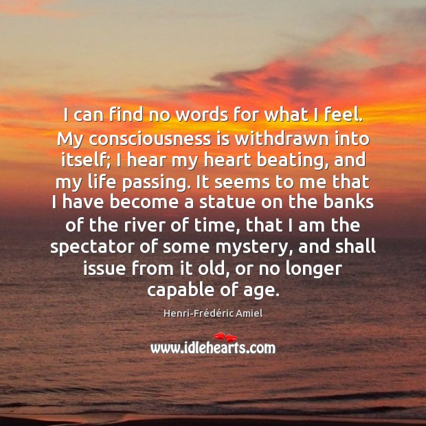 I can find no words for what I feel. My consciousness is Henri-Frédéric Amiel Picture Quote