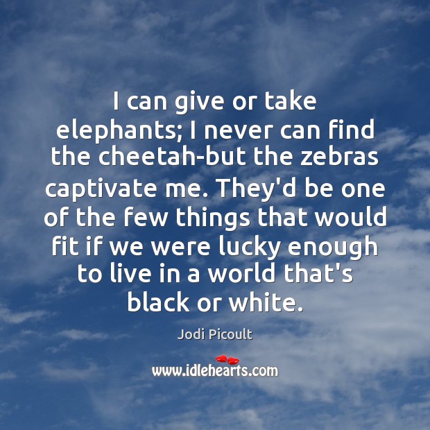 I can give or take elephants; I never can find the cheetah-but Jodi Picoult Picture Quote