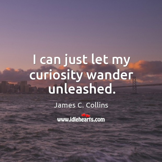 I can just let my curiosity wander unleashed. Image