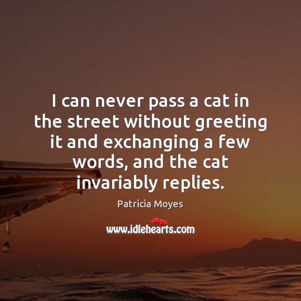 I can never pass a cat in the street without greeting it Patricia Moyes Picture Quote