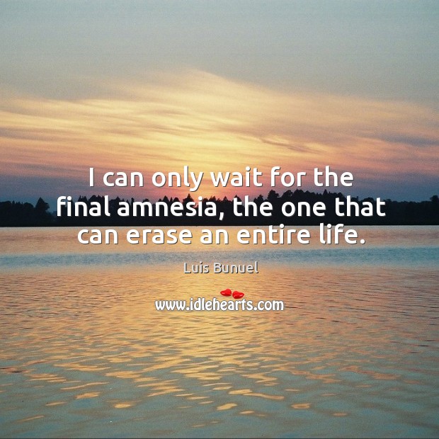 I can only wait for the final amnesia, the one that can erase an entire life. Luis Bunuel Picture Quote