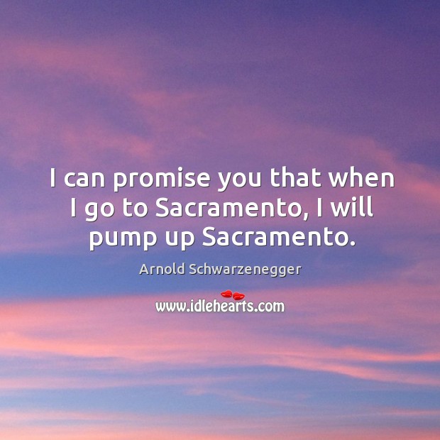 I can promise you that when I go to sacramento, I will pump up sacramento. Promise Quotes Image