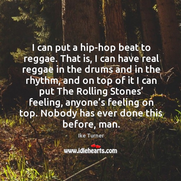 I can put a hip-hop beat to reggae. That is, I can have real reggae in the Ike Turner Picture Quote