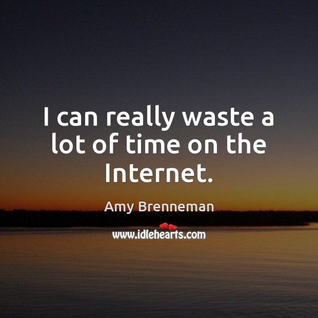 I can really waste a lot of time on the Internet. Amy Brenneman Picture Quote