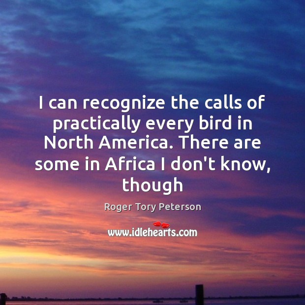 I can recognize the calls of practically every bird in North America. Roger Tory Peterson Picture Quote
