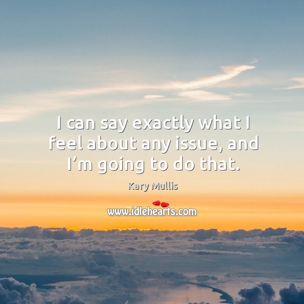 I can say exactly what I feel about any issue, and I’m going to do that. Kary Mullis Picture Quote