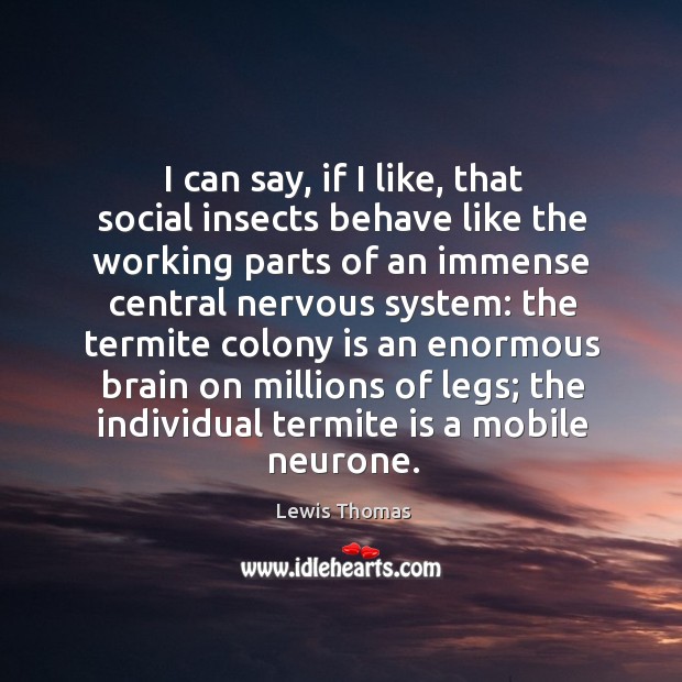 I can say, if I like, that social insects behave like the Lewis Thomas Picture Quote