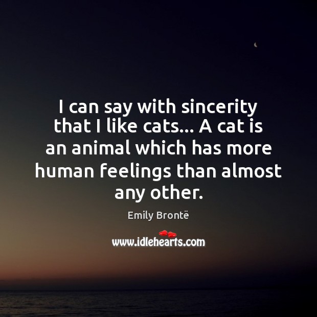 I can say with sincerity that I like cats… A cat is Emily Brontë Picture Quote
