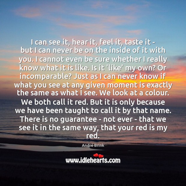 I can see it, hear it, feel it, taste it – but André Brink Picture Quote