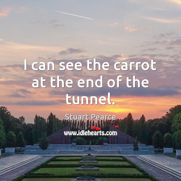 I can see the carrot at the end of the tunnel. Stuart Pearce Picture Quote