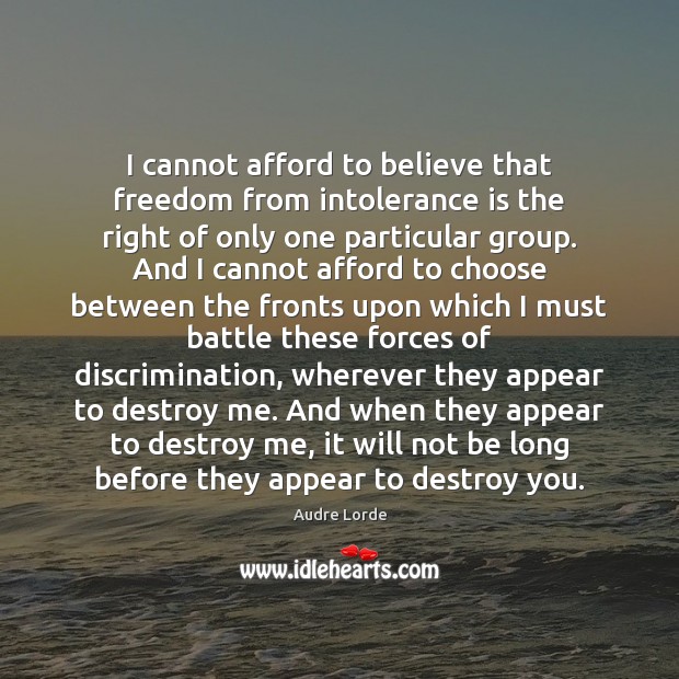 I cannot afford to believe that freedom from intolerance is the right Audre Lorde Picture Quote