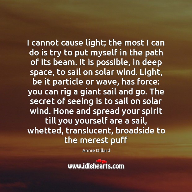 I cannot cause light; the most I can do is try to Annie Dillard Picture Quote