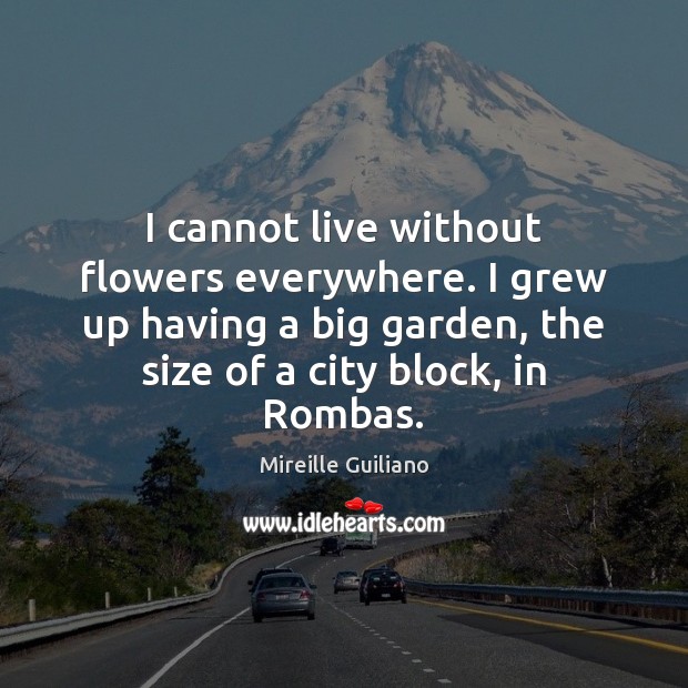 I cannot live without flowers everywhere. I grew up having a big Mireille Guiliano Picture Quote
