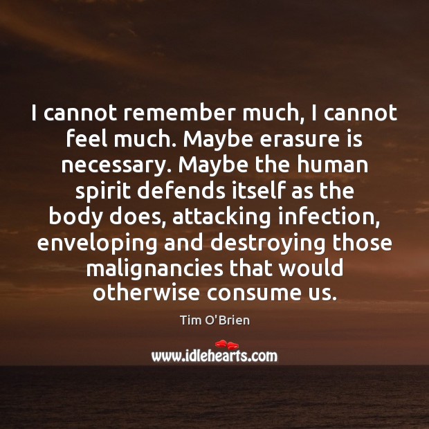 I cannot remember much, I cannot feel much. Maybe erasure is necessary. Tim O’Brien Picture Quote