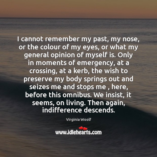 I cannot remember my past, my nose, or the colour of my Image