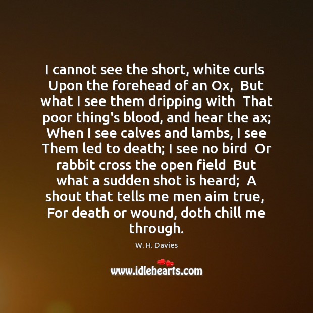 I cannot see the short, white curls  Upon the forehead of an W. H. Davies Picture Quote