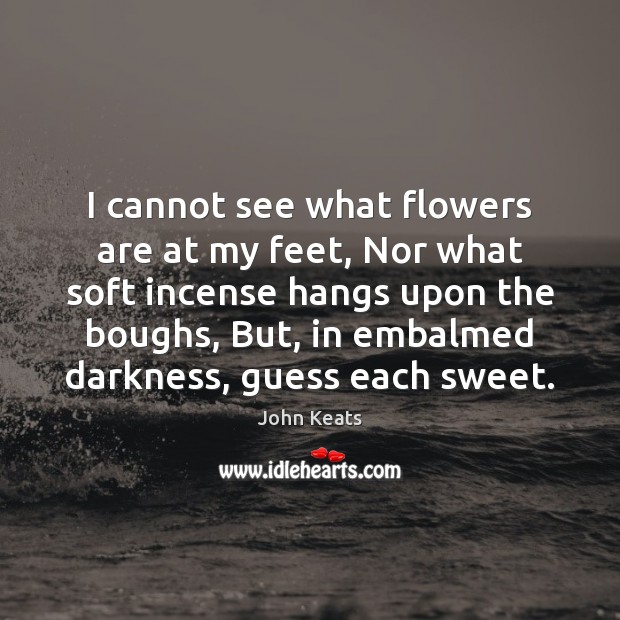 I cannot see what flowers are at my feet, Nor what soft John Keats Picture Quote