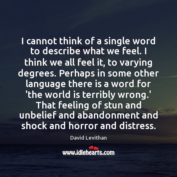 I cannot think of a single word to describe what we feel. David Levithan Picture Quote