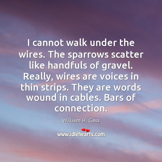 I cannot walk under the wires. The sparrows scatter like handfuls of William H. Gass Picture Quote