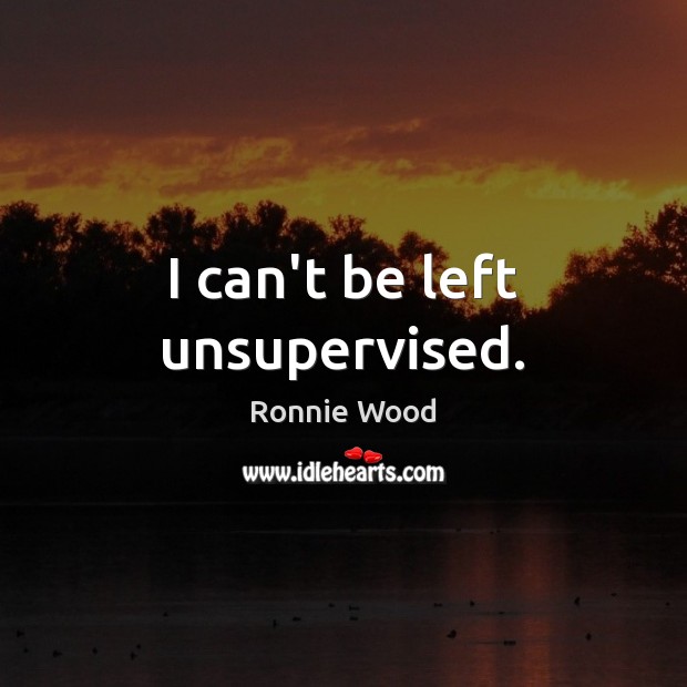 I can’t be left unsupervised. Ronnie Wood Picture Quote