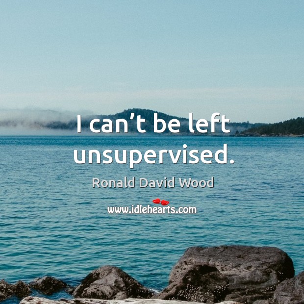I can’t be left unsupervised. Ronald David Wood Picture Quote