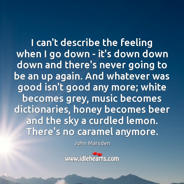 I can’t describe the feeling when I go down – it’s down John Marsden Picture Quote