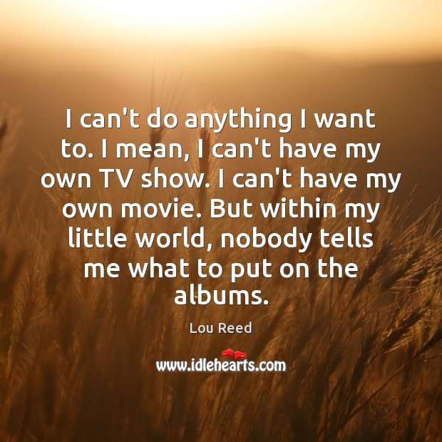 I can’t do anything I want to. I mean, I can’t have Lou Reed Picture Quote