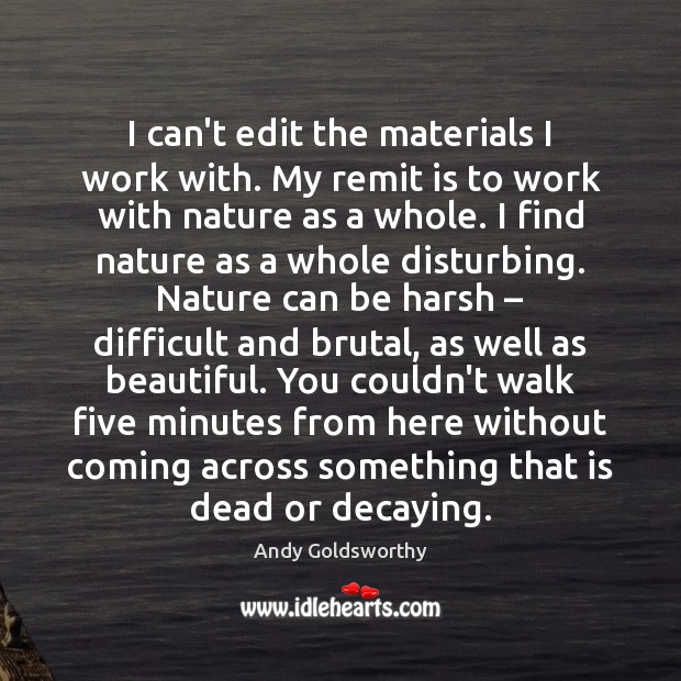 I can’t edit the materials I work with. My remit is to Andy Goldsworthy Picture Quote