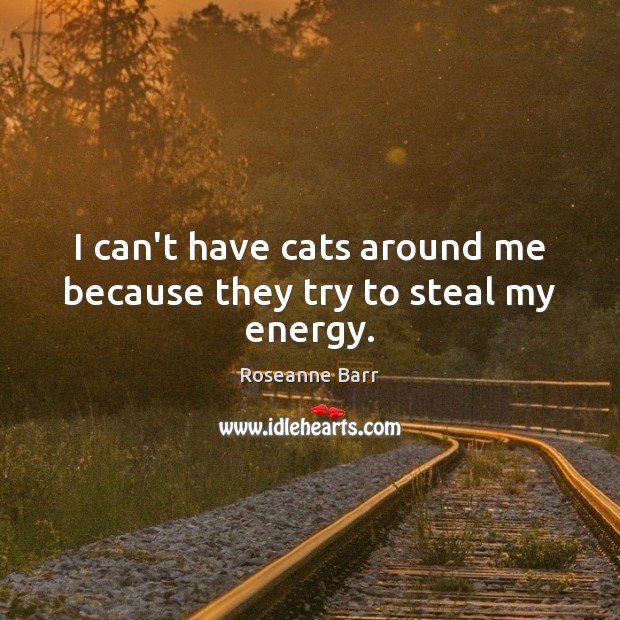 I can’t have cats around me because they try to steal my energy. Roseanne Barr Picture Quote