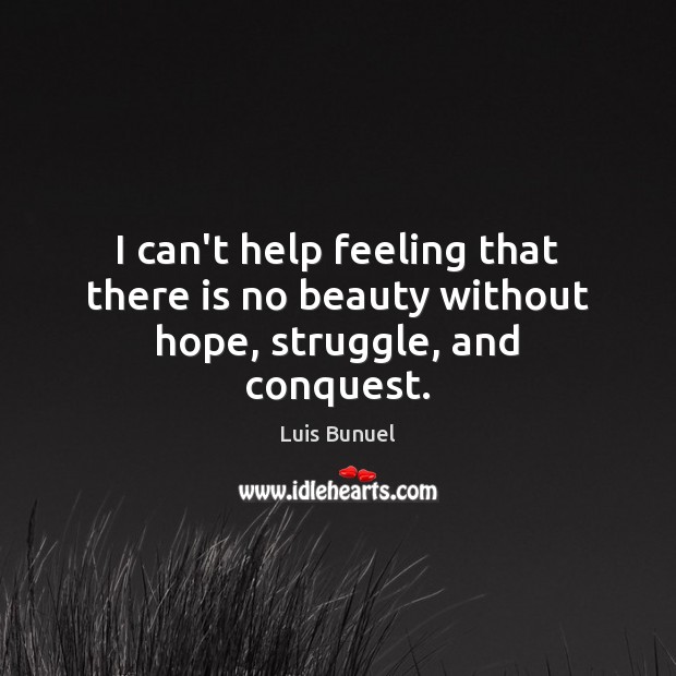 I can’t help feeling that there is no beauty without hope, struggle, and conquest. Help Quotes Image