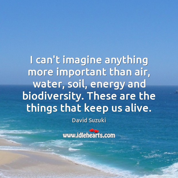 I can’t imagine anything more important than air, water, soil, energy and David Suzuki Picture Quote