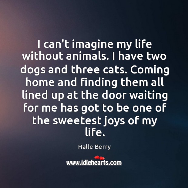I can’t imagine my life without animals. I have two dogs and Halle Berry Picture Quote