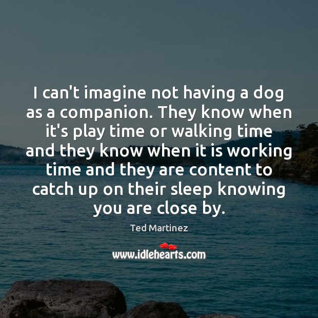 I can’t imagine not having a dog as a companion. They know Ted Martinez Picture Quote