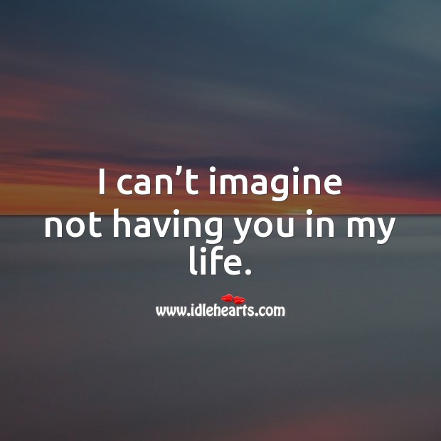 I can’t imagine not having you in my life. Love Quotes Image