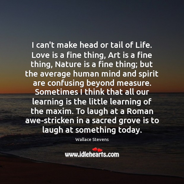 I can’t make head or tail of Life. Love is a fine Wallace Stevens Picture Quote