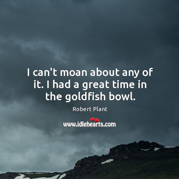 I can’t moan about any of it. I had a great time in the goldfish bowl. Robert Plant Picture Quote