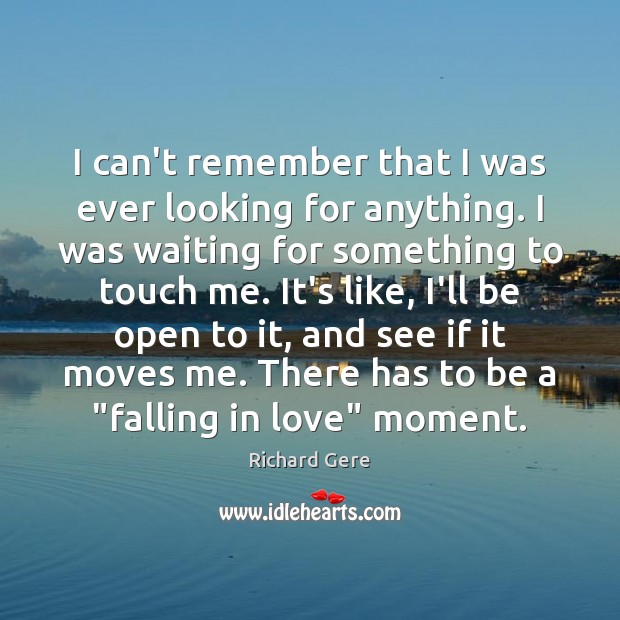 I can’t remember that I was ever looking for anything. I was Richard Gere Picture Quote