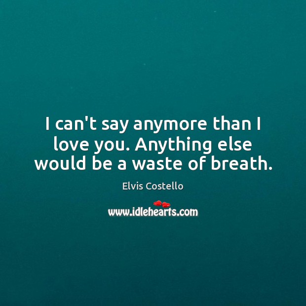 I can’t say anymore than I love you. Anything else would be a waste of breath. Elvis Costello Picture Quote