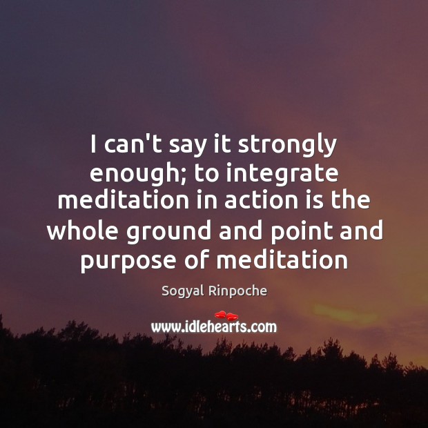 I can’t say it strongly enough; to integrate meditation in action is 